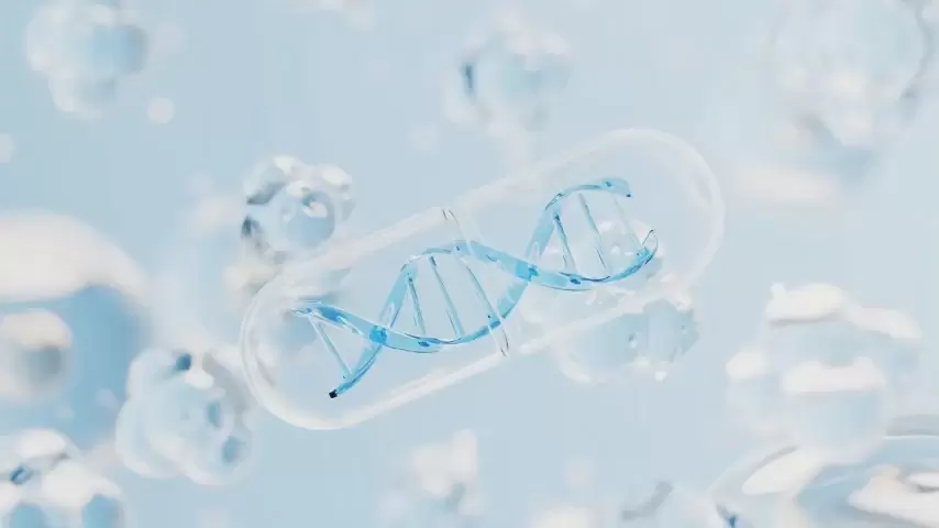 Pesquisa e desenvolvimento avan&ccedil;ados: tecnologia EnduraClear e DNA Guard